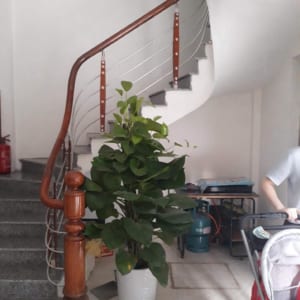 Cầu thang inox , lan can inox